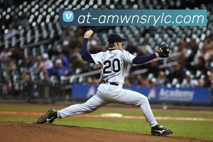 威尼斯人官网平台生态图